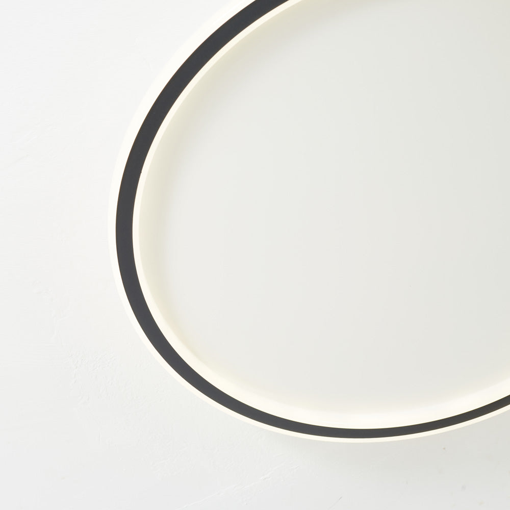 Indoor LED Ceiling Light Flush Mount Round Style