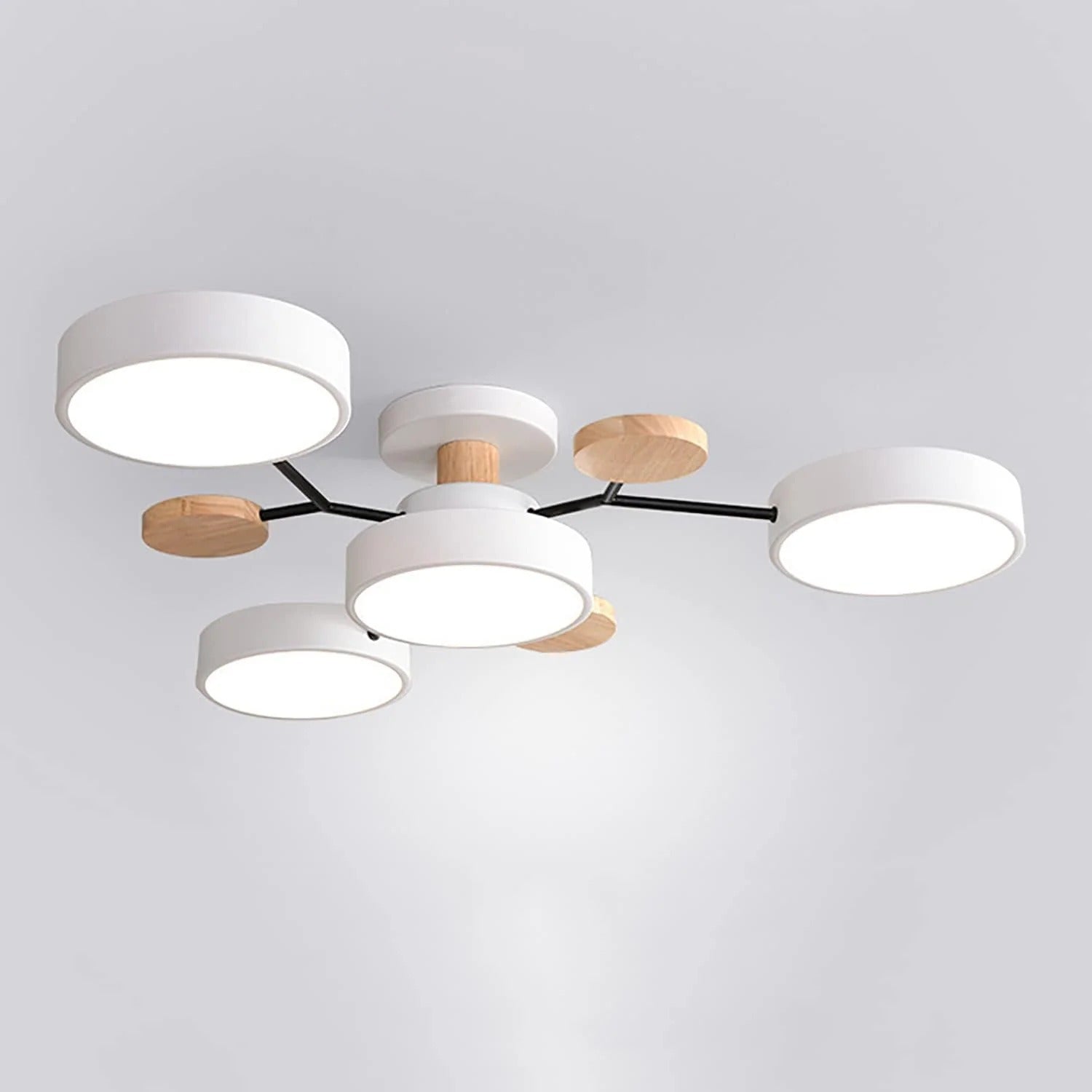Modern LED Flush Ceiling Light Multi-Light Indoor Lighting Fixture