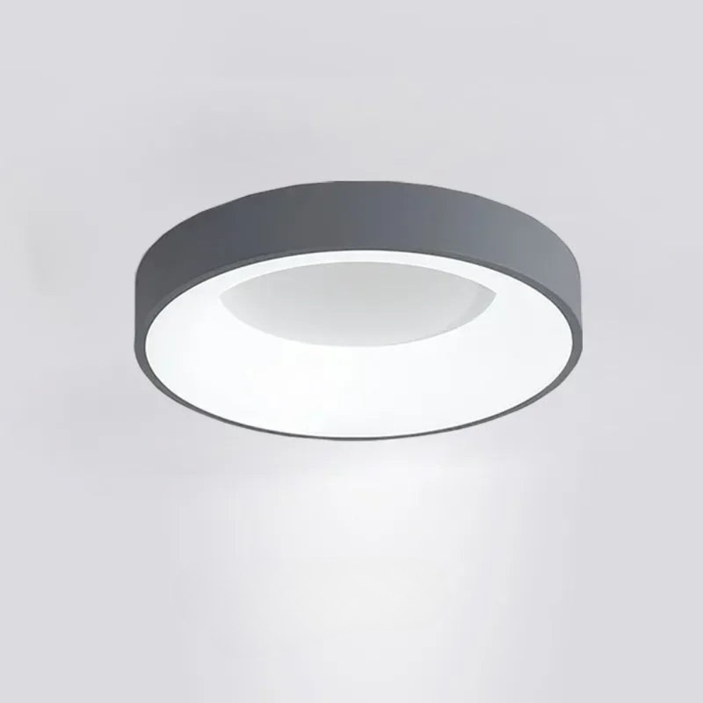 Round LED Ceiling Light Flush Mount Lighting for Home Interiors