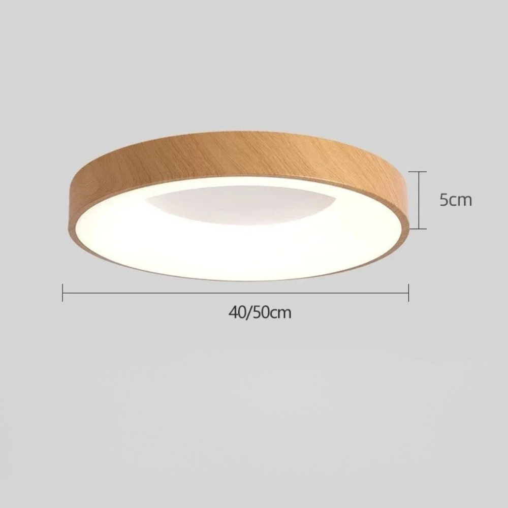 Round LED Ceiling Light Flush Mount Lighting for Home Interiors