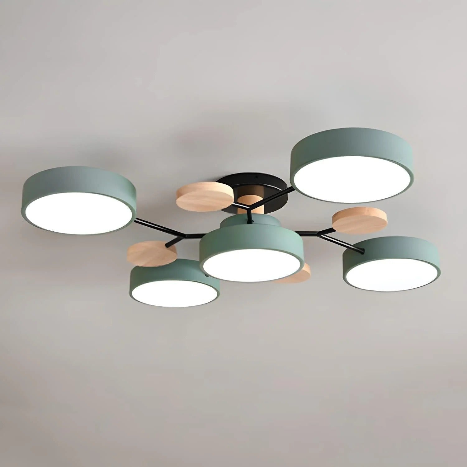 Modern LED Flush Ceiling Light Multi-Light Indoor Lighting Fixture