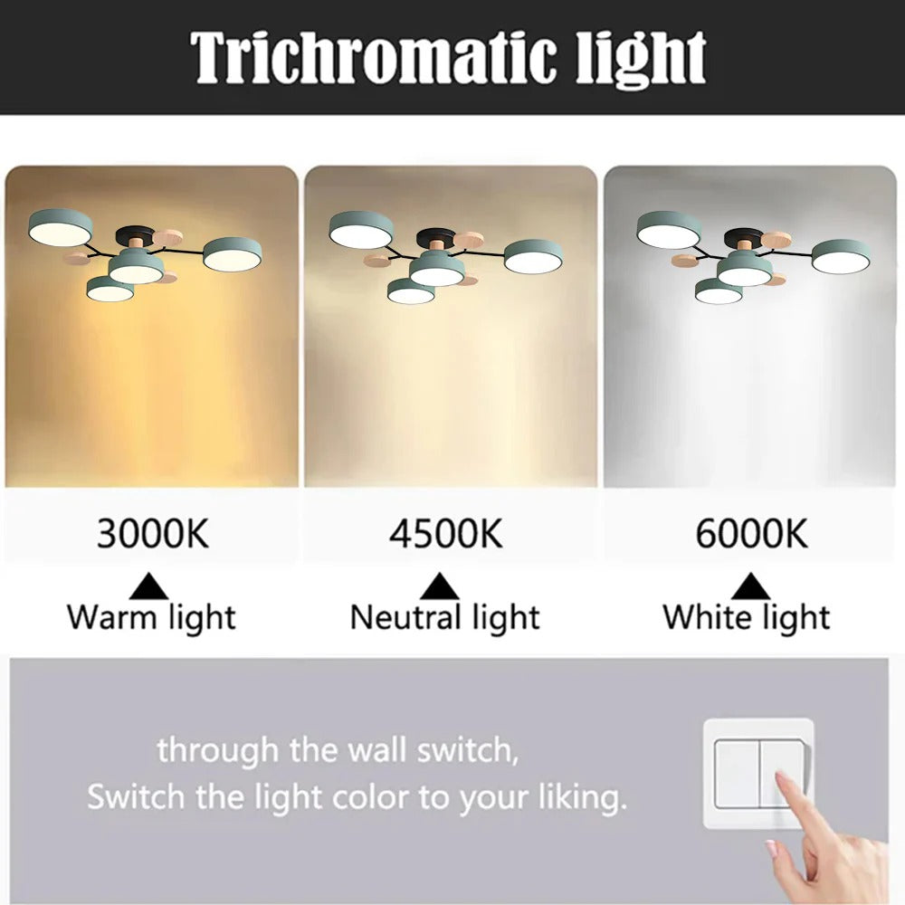 Modern LED Flush Ceiling Light Multi-Light Indoor Lighting Fixture