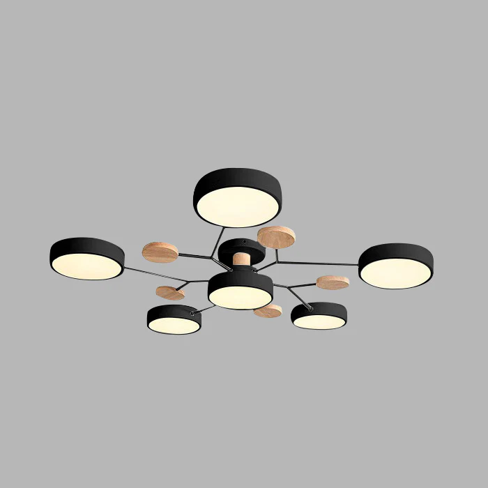 Modern LED Flush Ceiling Light Multi-Light Indoor Lighting Fixture
