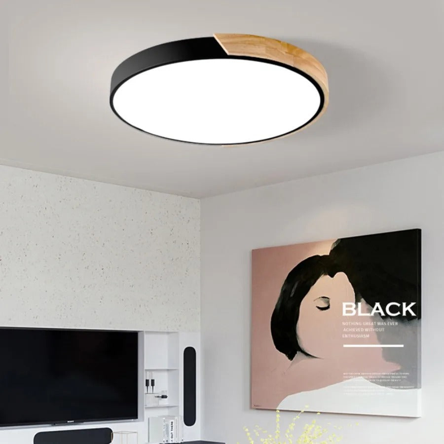 Round Flush Ceiling Light Adjustable LED Lighting for Rooms
