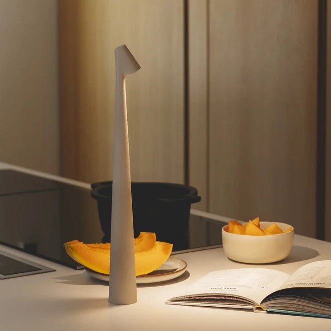 Portable Table Lamp Rechargeable LED Light with Push Control