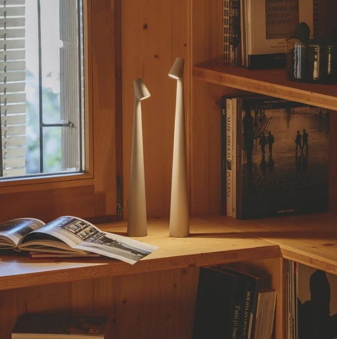 Portable Table Lamp Rechargeable LED Light with Push Control