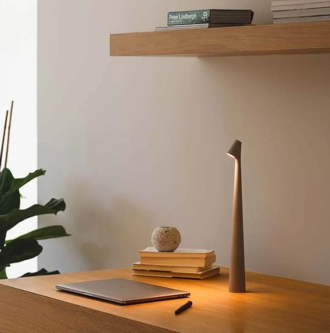 Portable Table Lamp Rechargeable LED Light with Push Control