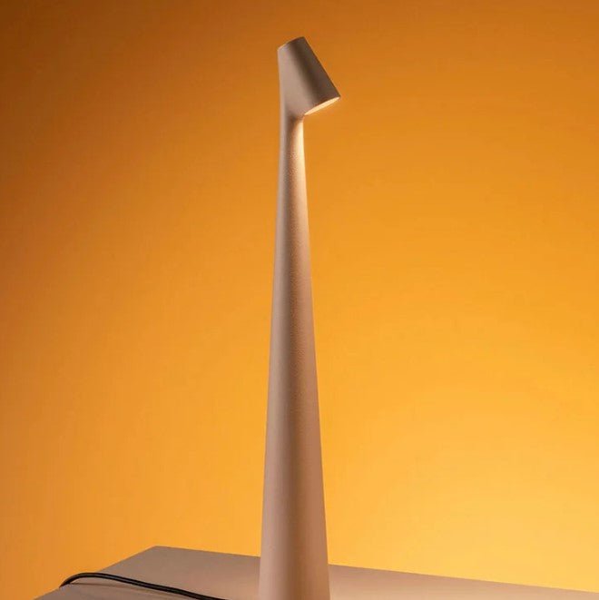 Portable Table Lamp Rechargeable LED Light with Push Control