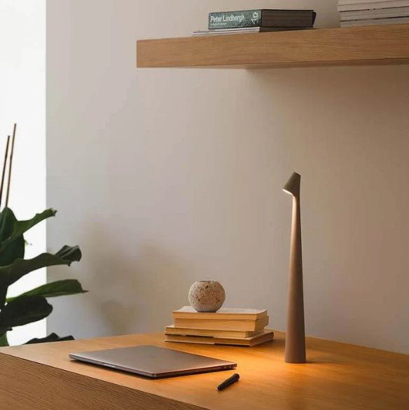Portable Table Lamp Rechargeable LED Light with Push Control