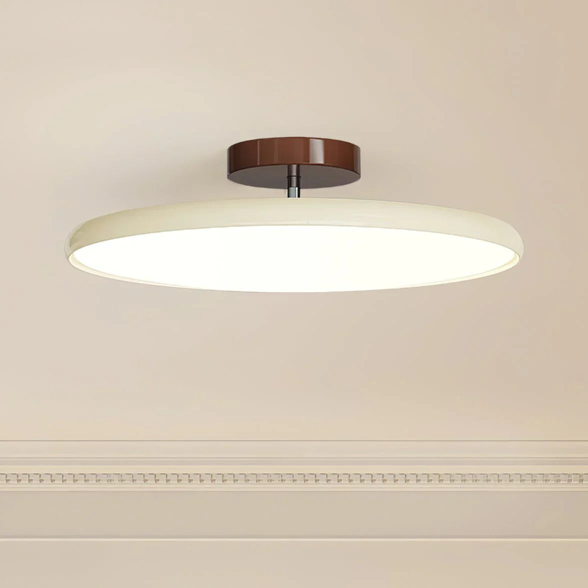 Modern LED Ceiling Light Flush Mount for Indoor Use