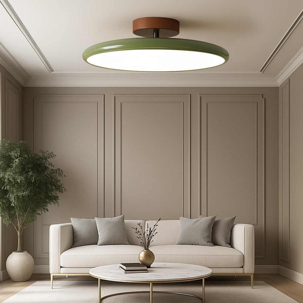 Modern LED Ceiling Light Flush Mount for Indoor Use