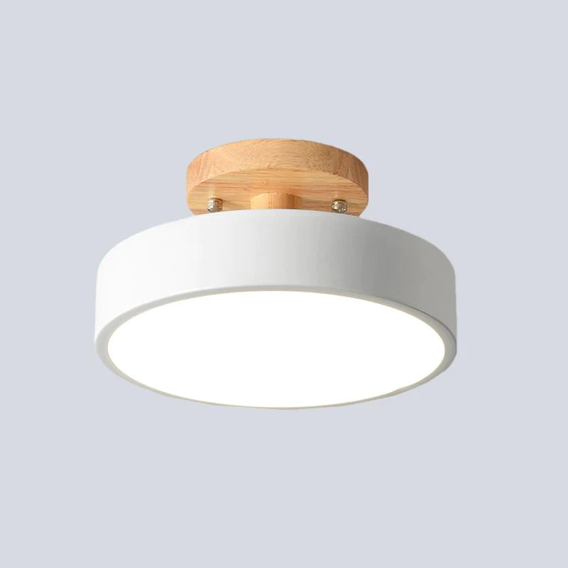 Scandinavian LED Ceiling Light Modern Flush Mount Light