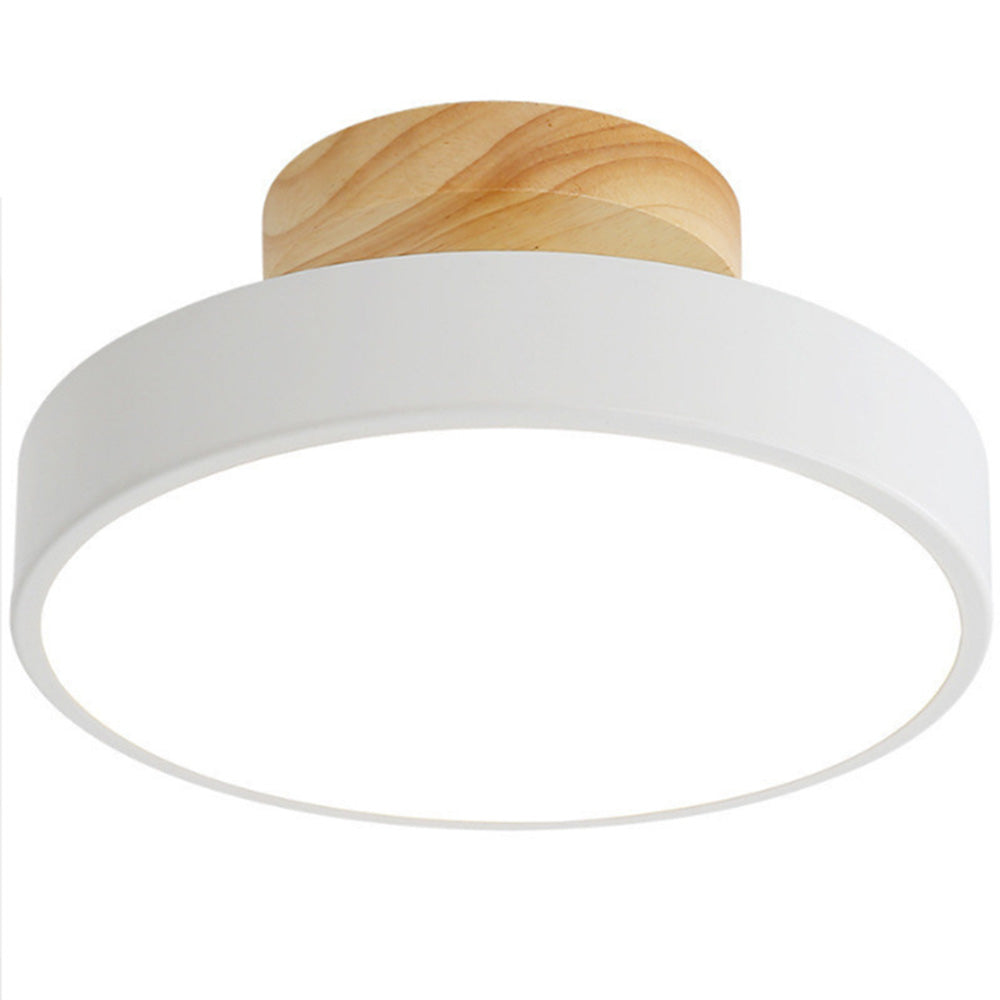 Scandinavian LED Ceiling Light Modern Flush Mount Light