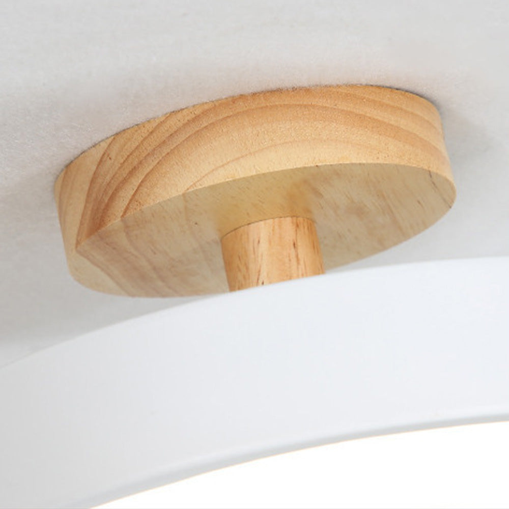 Scandinavian LED Ceiling Light Modern Flush Mount Light