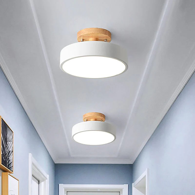 Scandinavian LED Ceiling Light Modern Flush Mount Light