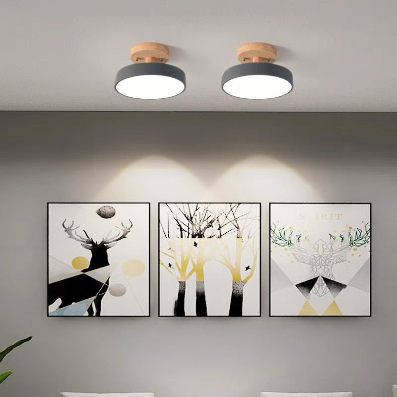 Scandinavian LED Ceiling Light Modern Flush Mount Light