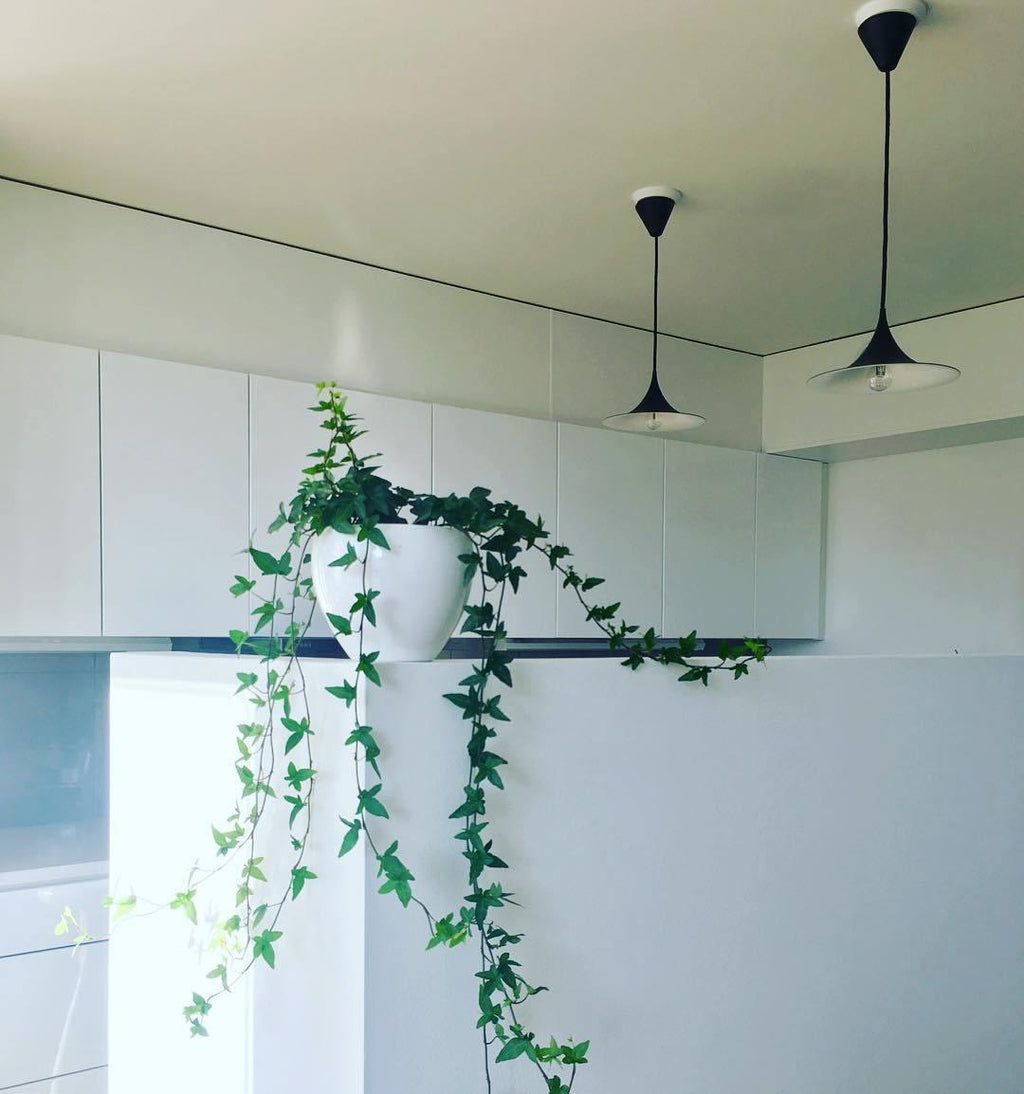 Arco Pendant Light