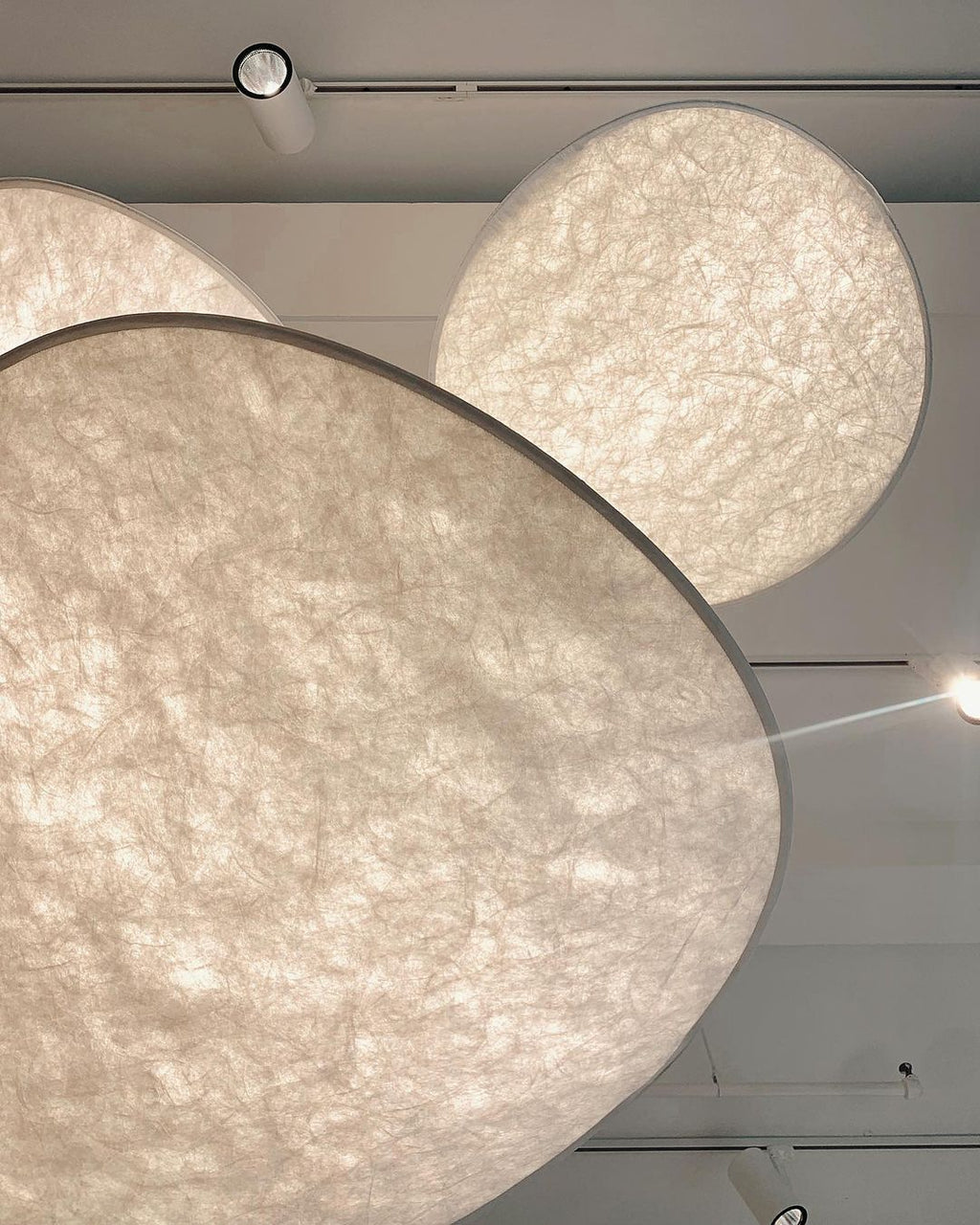 Avenor Sculptural Pendant Light