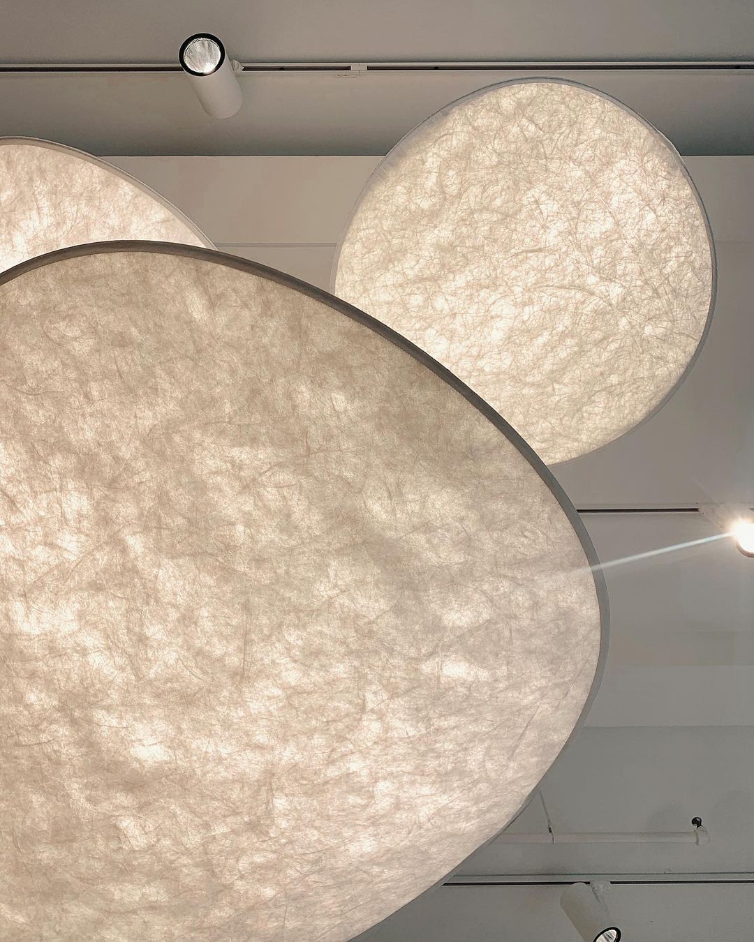 Avenor Sculptural Pendant Light