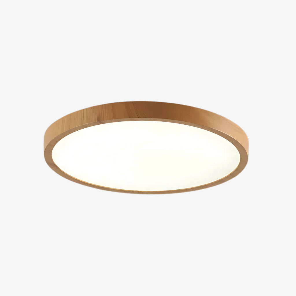 Japandi LED Ceiling Light Slim Flush Mount Light