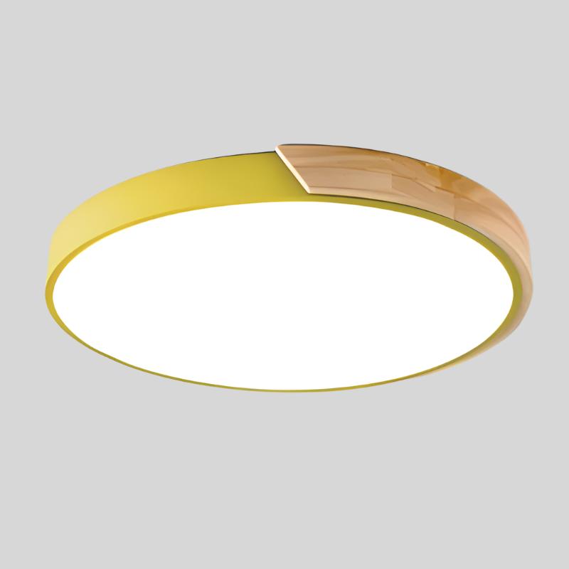 Round Flush Ceiling Light Adjustable LED Lighting for Rooms