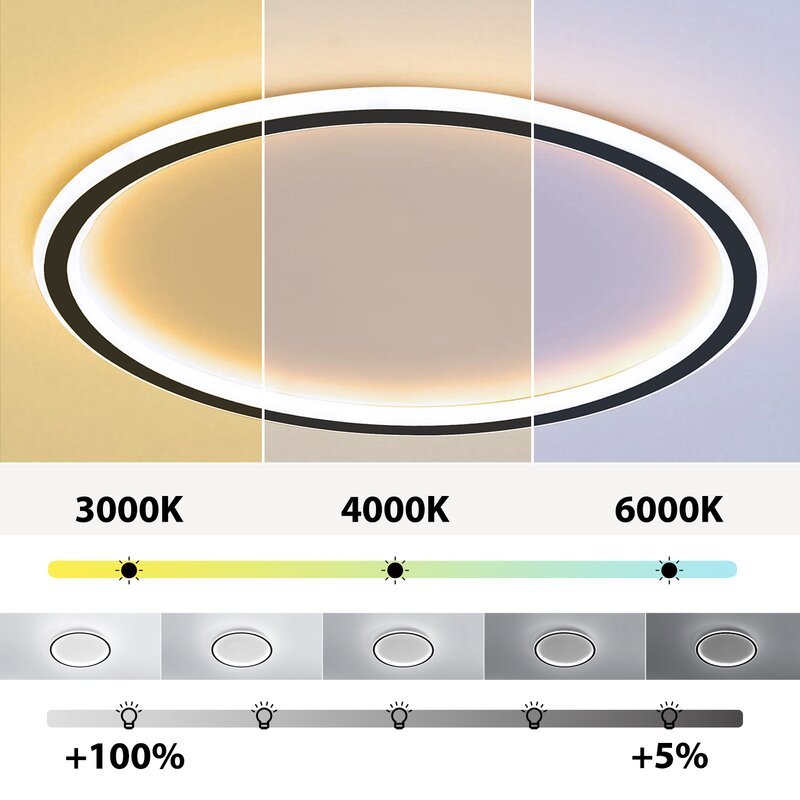 Indoor LED Ceiling Light Flush Mount Round Style
