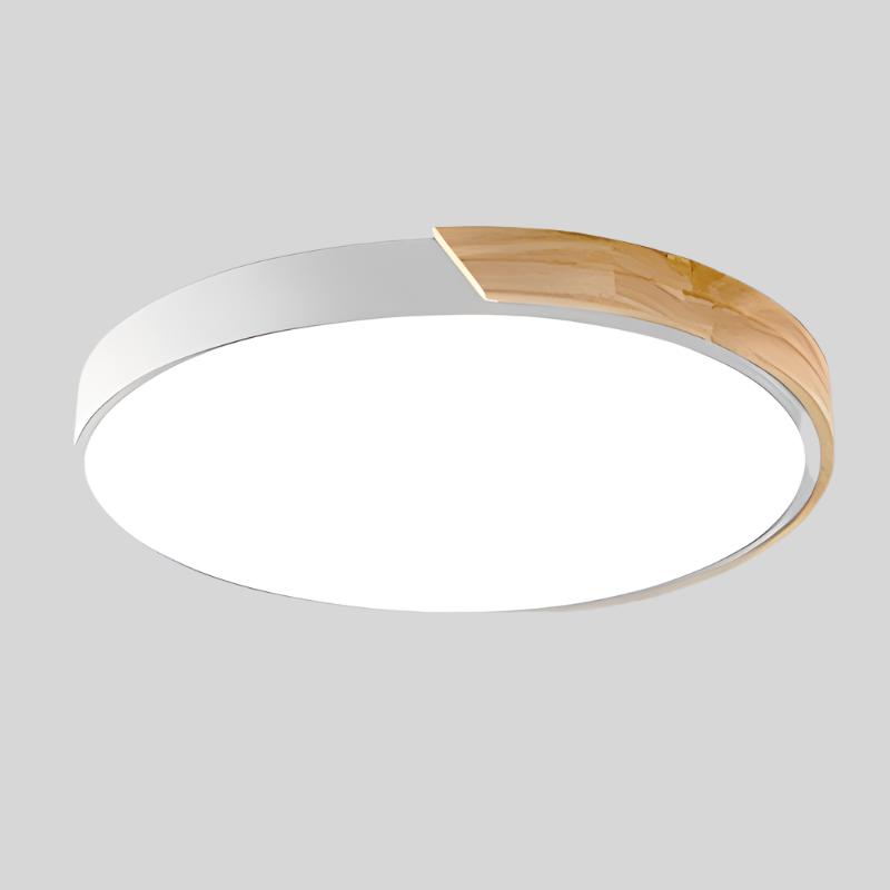 Round Flush Ceiling Light Adjustable LED Lighting for Rooms