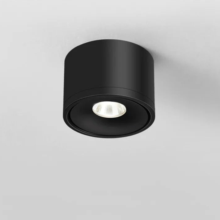 Directional Ceiling Spotlight Surface Mounted Adjustable Light