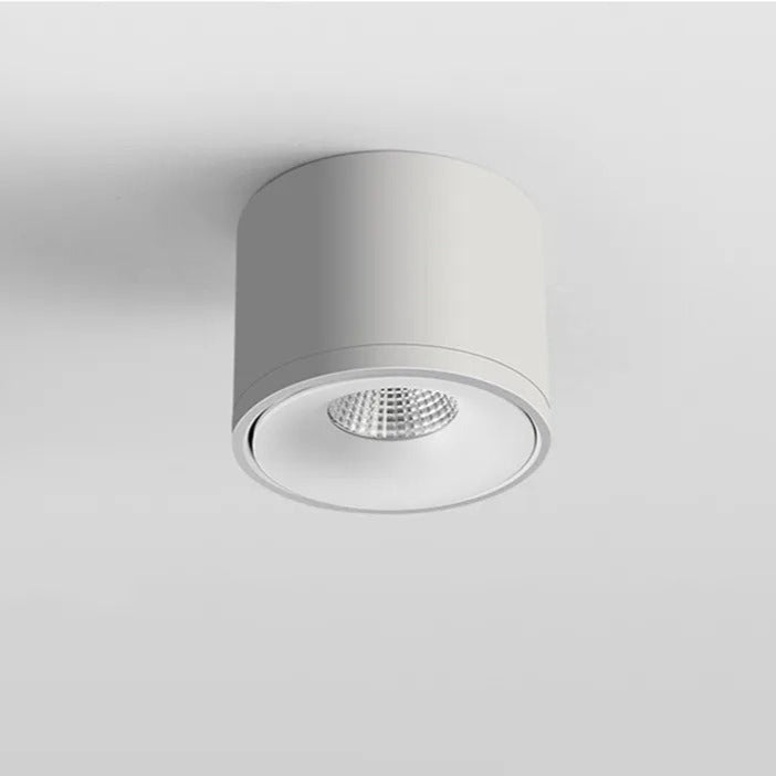 Directional Ceiling Spotlight Surface Mounted Adjustable Light