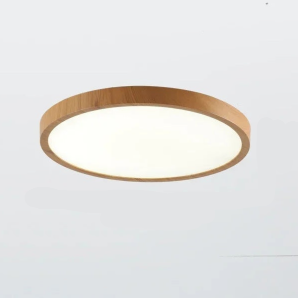 Slim Circular Ceiling Light Dimmable LED with Three Lighting Modes