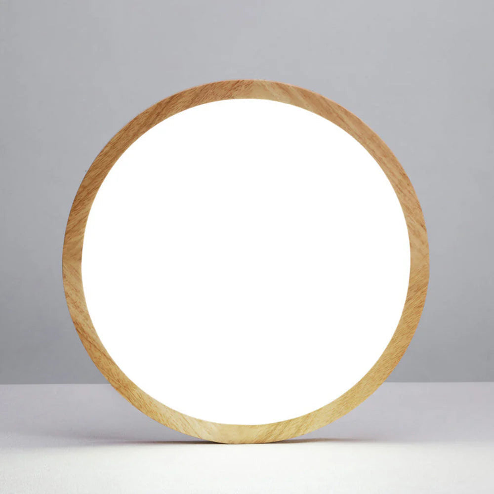 Round Ceiling Light Modern Flush Fit for Living Spaces