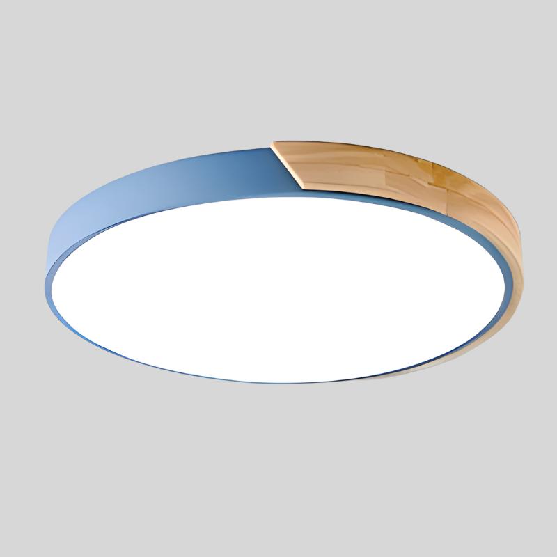 Round Flush Ceiling Light Adjustable LED Lighting for Rooms